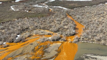 El cambio climático tiñe de naranja los ríos de Alaska y amenaza el ecosistema acuático  