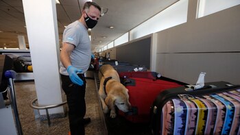 Está compuesto de 68 caniles