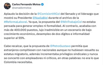 Carlos Fernando Motoa, vicepresidente de