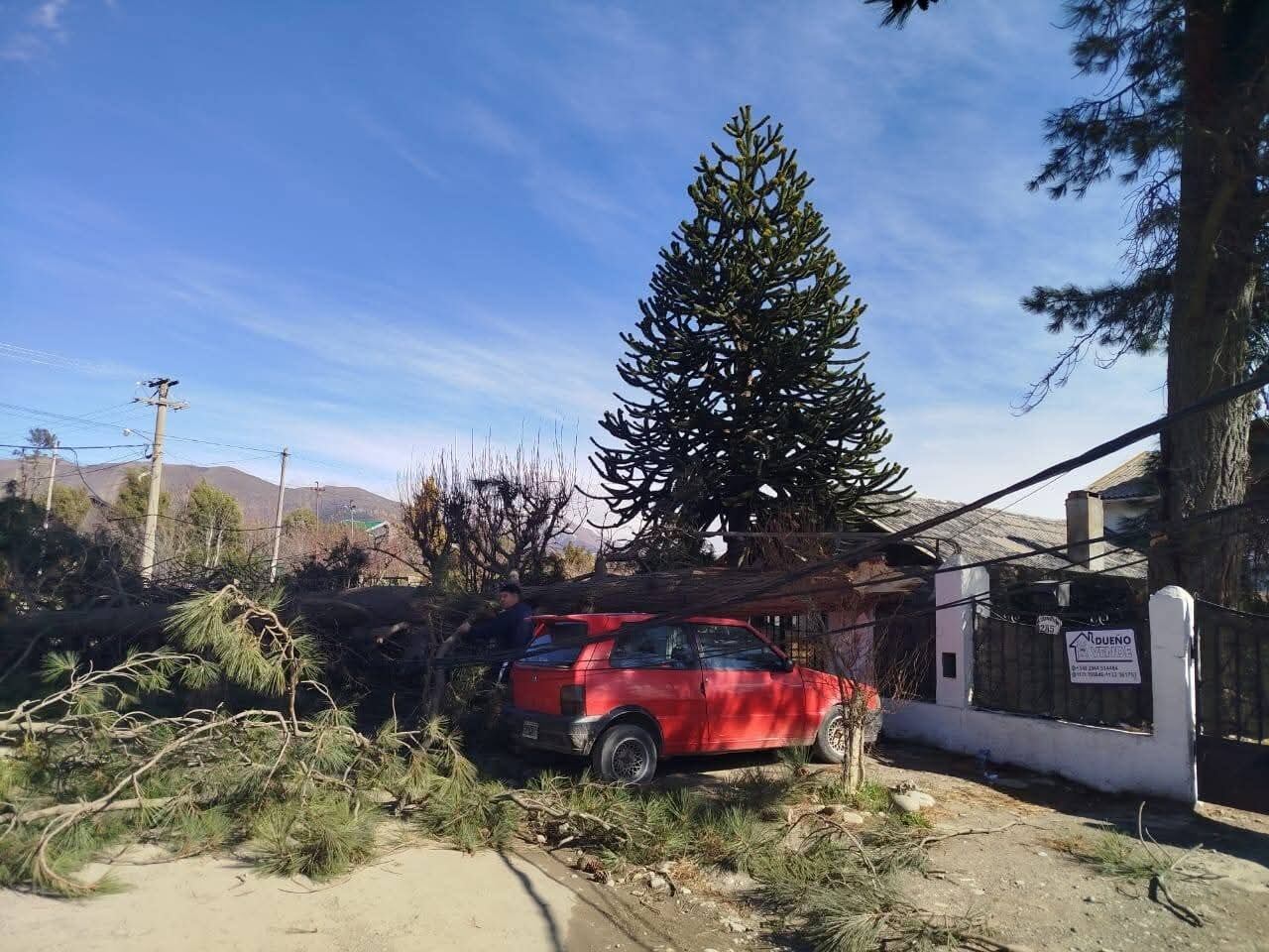 La Cooperativa de Electricidad de Bariloche trabajó en la restitución del servicio en sectores afectados