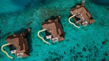 The Ozen Collection ha creado