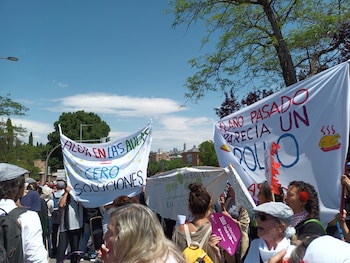 Imagen de archivo de una protesta contra el calor en las aulas en la Pradera de San Isidro. (Europa Press)