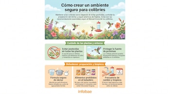 Infografía con título sobre ambiente seguro para colibríes. Contiene ilustraciones de colibríes, flores, bebedero, pesticidas, néctar y limpieza del recipiente.