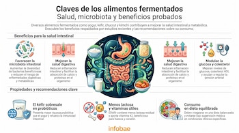 Infografía de Infobae sobre beneficios de alimentos fermentados, con ilustraciones de microbiota, sistema digestivo y ejemplos de comidas.