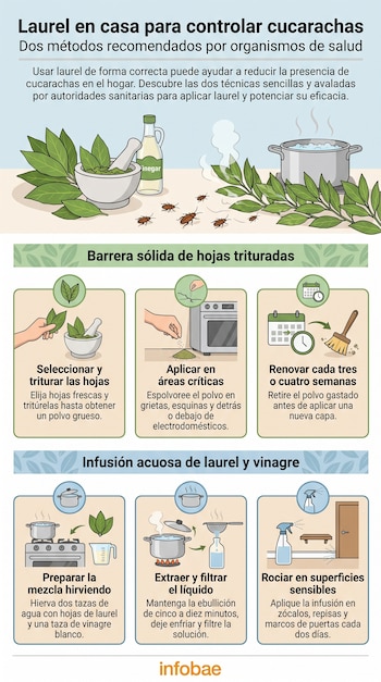Infografía ilustrada que detalla dos métodos caseros para el control de cucarachas usando laurel: triturado y espolvoreado, y en infusión con vinagre aplicada con spray.