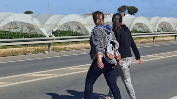 ¿Qué requisitos deben cumplir los