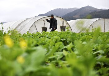 Las prácticas artesanales van quedando