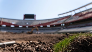El sistema de césped natural