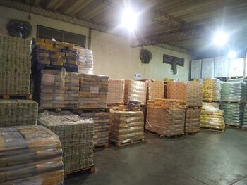 El procedimiento fue firmado por