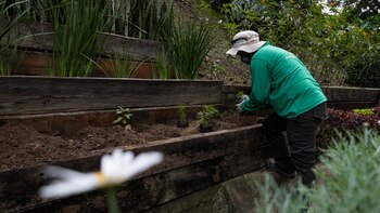 En la lucha contra la