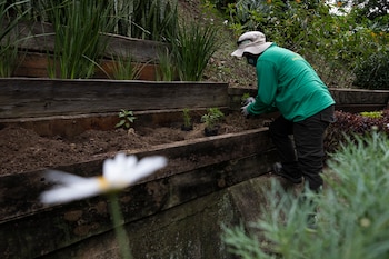El ministro Carlos Eduardo Correa