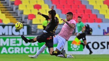 No te pierdas ningún detalle