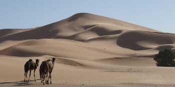 La dinámica de las dunas estrella como Lala Lallia prueba la acción alternante de vientos, a diferencia de dunas lineales que dependen de vientos constantes (Charlie Bristow/Handout via REUTERS)