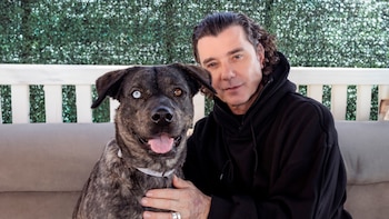 Gavin Rossdale impulsa campaña navideña