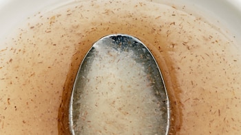 ¿Cuáles son los beneficios del psyllium?