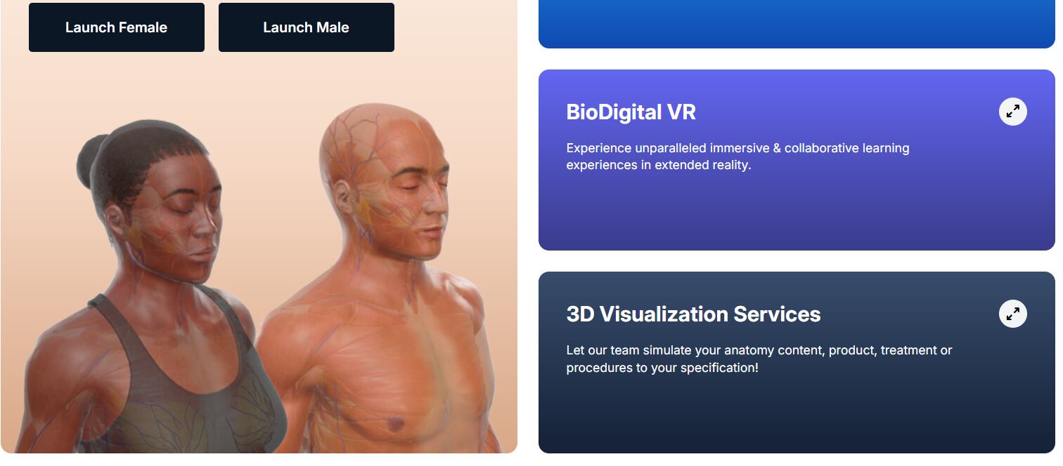 Herramientas como BioDigital Human integran descripciones clínicas, animaciones y traducción automática - crédito BioDigital Human
