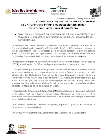 Reporte conjunto entre Profepa y Semarnat para determinar la causa de muerte del tigre Kenzo