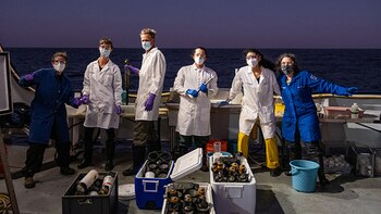 Entre los años 30 y