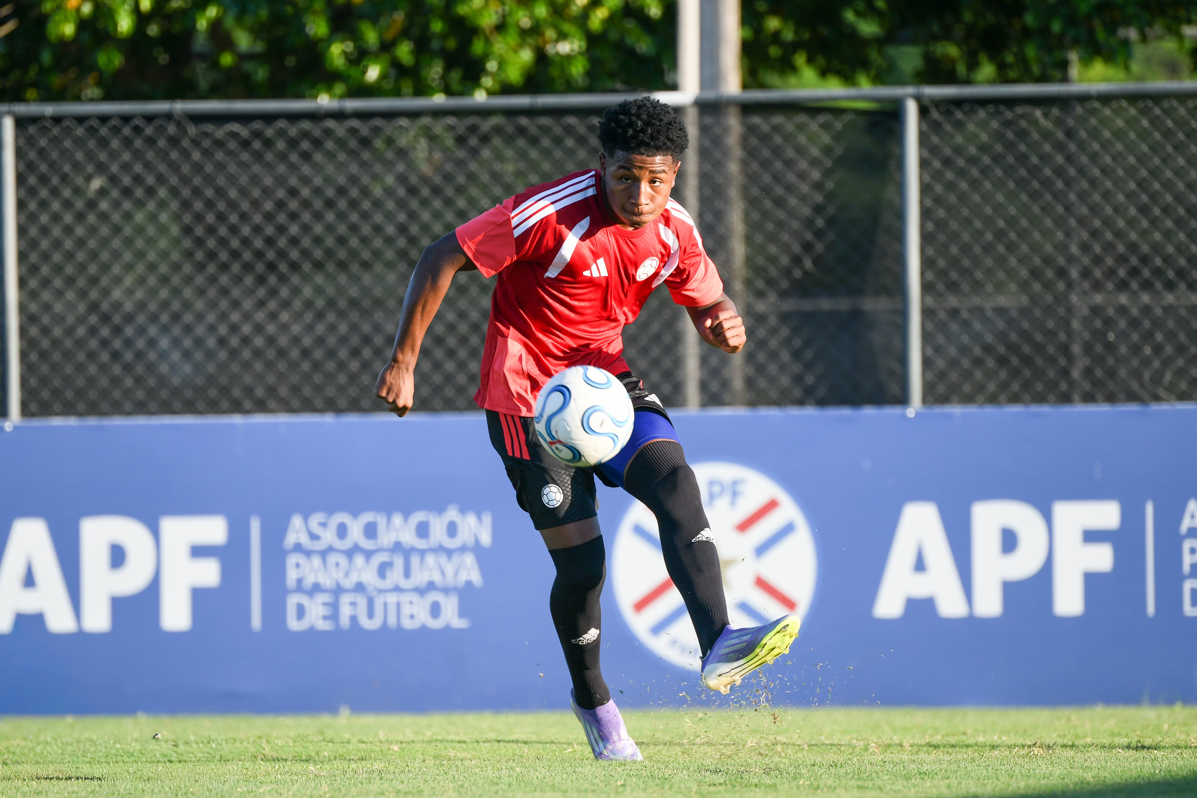 La Selección Colombia Sub-17 debuta este domingo frente a Ecuador en el Sudamericano de Paraguay - crédito FCF