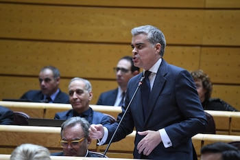 Desde la Cámara Alta de