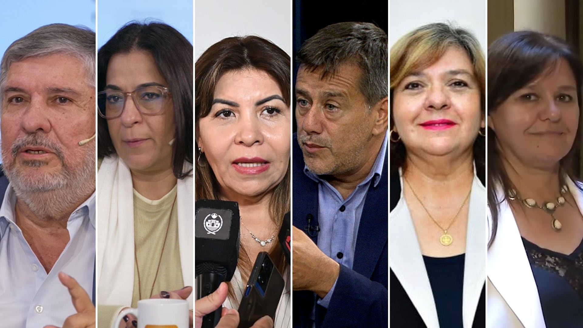 José Mayans, Carolina Moisés, Sandra Mendoza, Mariano Recalde, María Teresa González y Mercedes Valenzuela