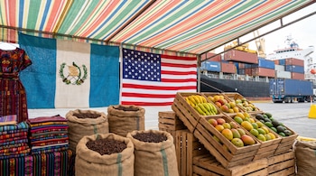 Banderas de Guatemala y EE. UU. sobre sacos de café, cestas de frutas (mangos, aguacates, plátanos) y textiles coloridos, con un buque de carga al fondo.