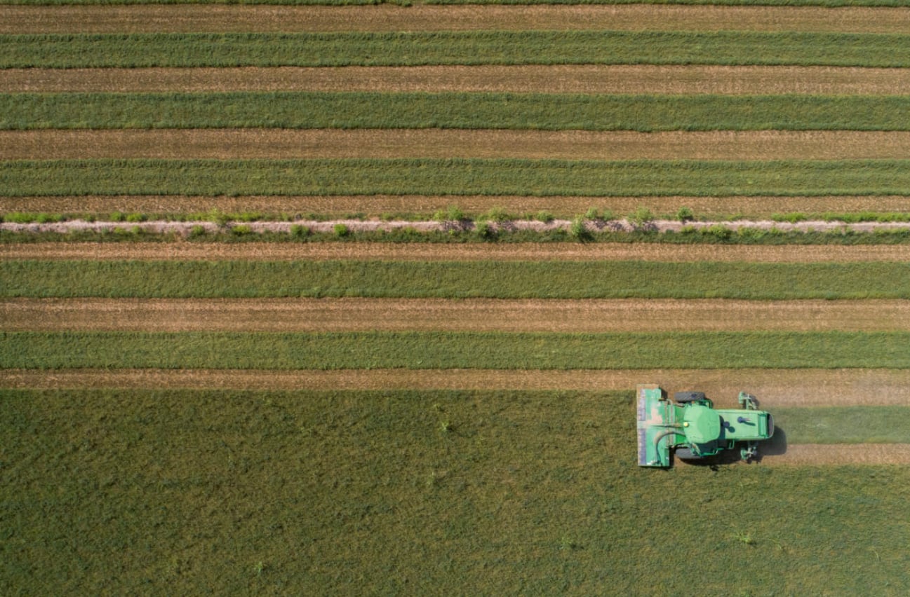 El riego de extensos campos de alfalfa consume una parte significativa del agua destinada a la agricultura en la región (Rebecca Noble/Reuters/File photo)