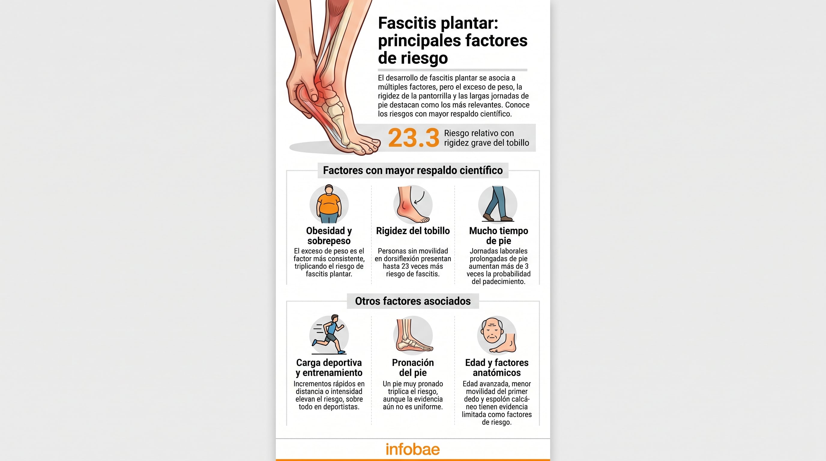 Una infografía de Infobae sintetiza los factores de riesgo de la fascitis plantar, entre los cuales figuran el sobrepeso, la rigidez del tobillo y las jornadas prolongadas de pie. (Imagen Ilustrativa Infobae)