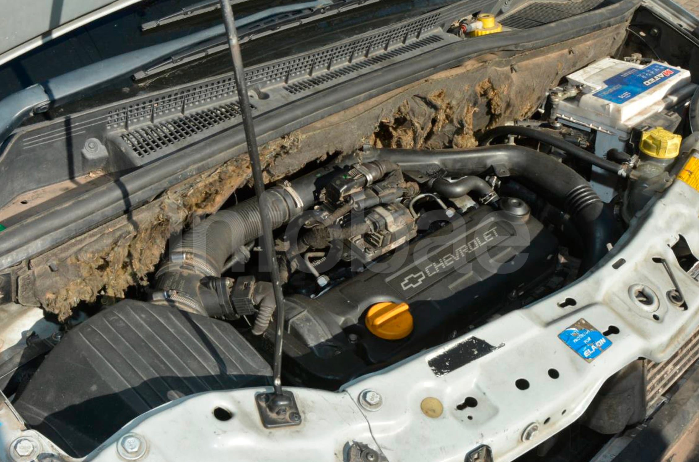 La sentencia de primera instancia tuvo por probado que la Chevrolet Meriva diésel se averió pocos metros después de cargar combustible en una estación de servicio de la calle 72. (Poder Judicial)