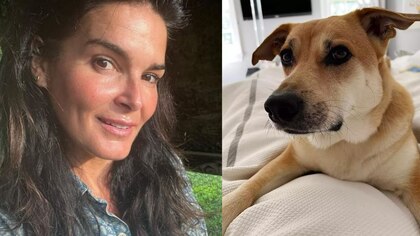 Angie Harmon llevará a la corte al hombre que disparó y mató a su perro: “Estamos en terapia por el trauma”