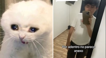 El viajero comparte su sorpresa