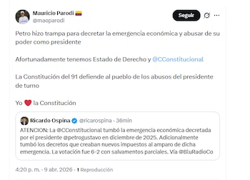 Deputado Mauricio Parodi comemora decisão do Tribunal Constitucional de reverter crise econômica do governo - crédito @maoparodi/X