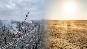 Nieve en primavera, tornados y olas de calor récord: ¿el planeta en modo extremo?