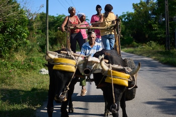La crisis humanitaria en Cuba también golpea a los agricultores que se desplazan sobre una carreta en Minas (AP/Ramon Espinosa)