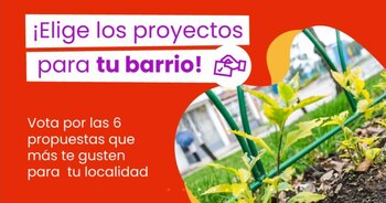 Para votar tienes dos opciones;