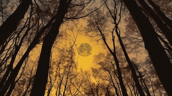 La luna muestra una parte