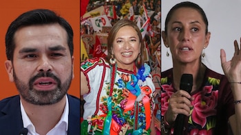 El plazo legal para el