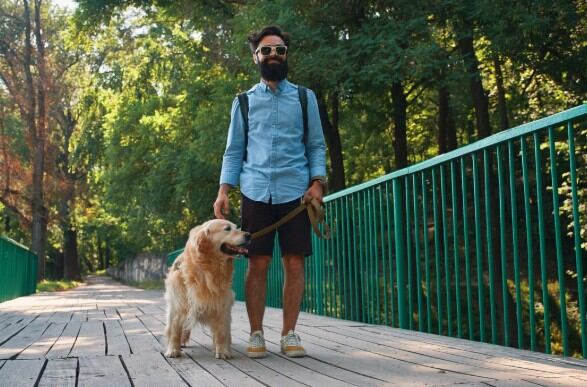 Llevar a un perro con correa siempre será la mejor opción - crédito Freepik