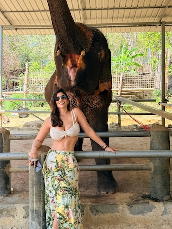 Una mujer sonríe y posa junto a un elefante indio con la trompa levantada y la boca abierta, ambos dentro de un recinto con vallas