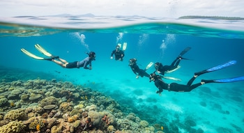 Practicantes y expertos consideran que