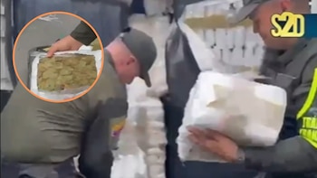 Policía incautó 1,9 toneladas de marihuana entre Cauca y Valle: un menor de edad fue aprehendido