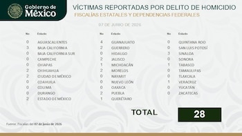 (Crédito: X | @GabSeguridadMX)