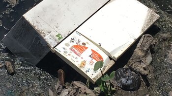 El Tribunal Oral en lo