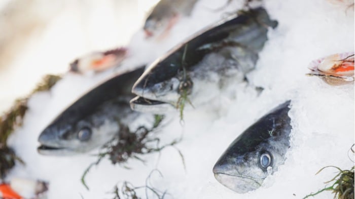 La Marina de Guerra del Perú cerró 88 puertos por oleajes anómalos durante la Semana Santa de 2026, afectando la oferta de pescado fresco a nivel nacional.