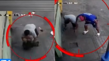Imagen dividida de videovigilancia. Izquierda: un hombre sobre el suelo amortigua la caída de una perrita. Derecha: dos hombres observan cerca de una pared exterior