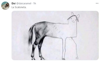 Memes argentina colombia