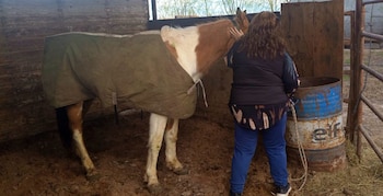 Un caballo blanco y marrón camina sobre rocas junto a un muro de hormigón de noche, mientras varias personas alumbran con linternas