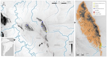 La población estimada de Tinamus