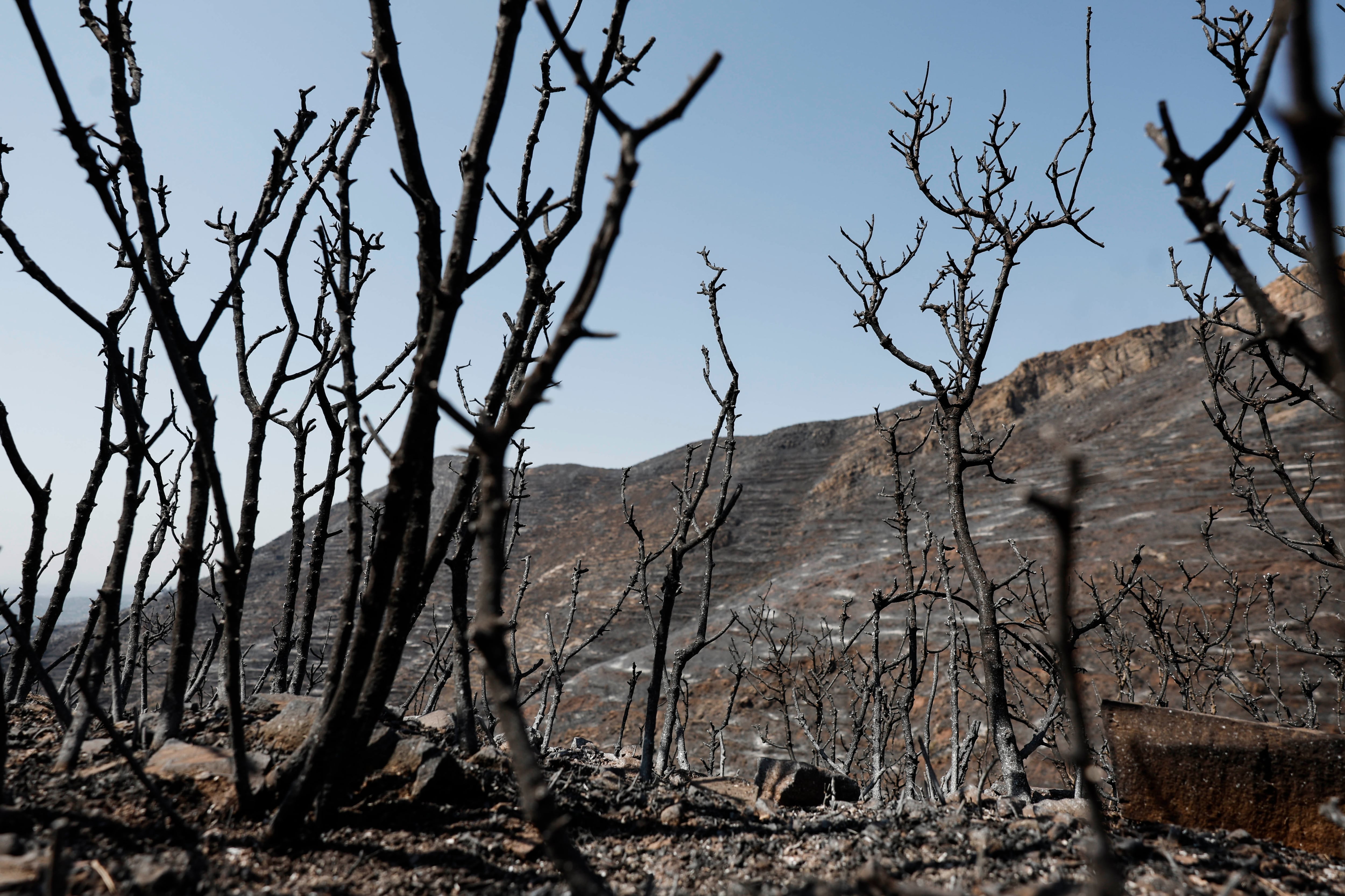 Paisaje quemado en La Vall d'Uixó (Castellón). (EFE/Kai Försterling)