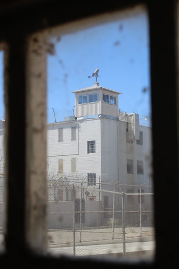 Flores fundó junto a ‘Checa’